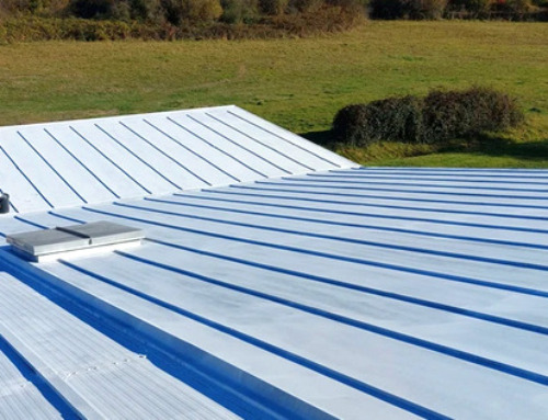 La vernice che riduce fino al 40% i consumi energetici per aiutare a raffreddare il pianeta